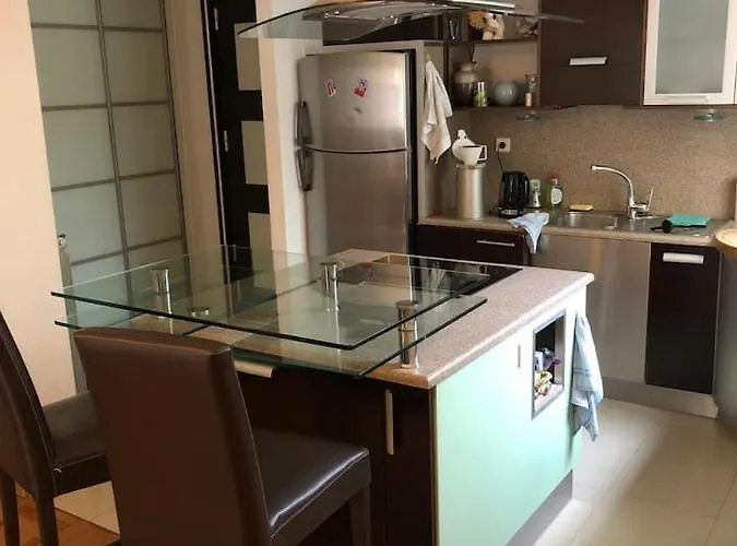 Appartement Nice Centre